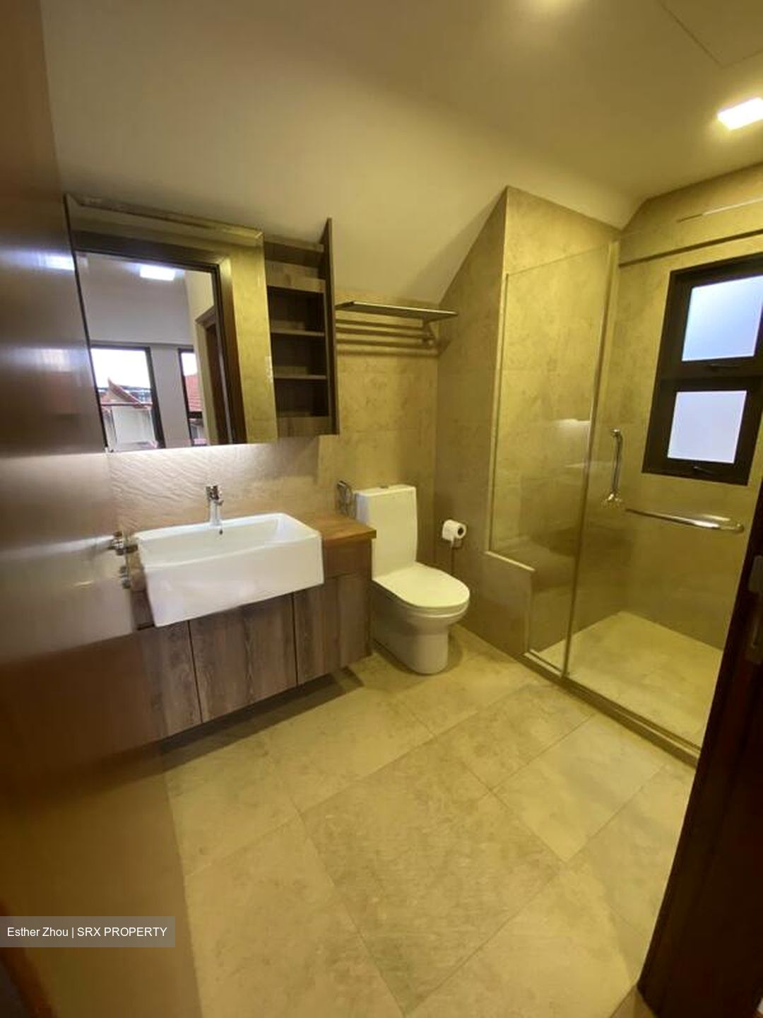 Holland Link (D10), Terrace #457887731